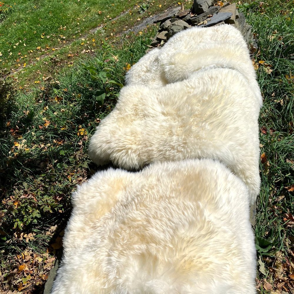 Genuine Sheepskin Rug 100% Natural From Our Farm - Picture 4 of 8